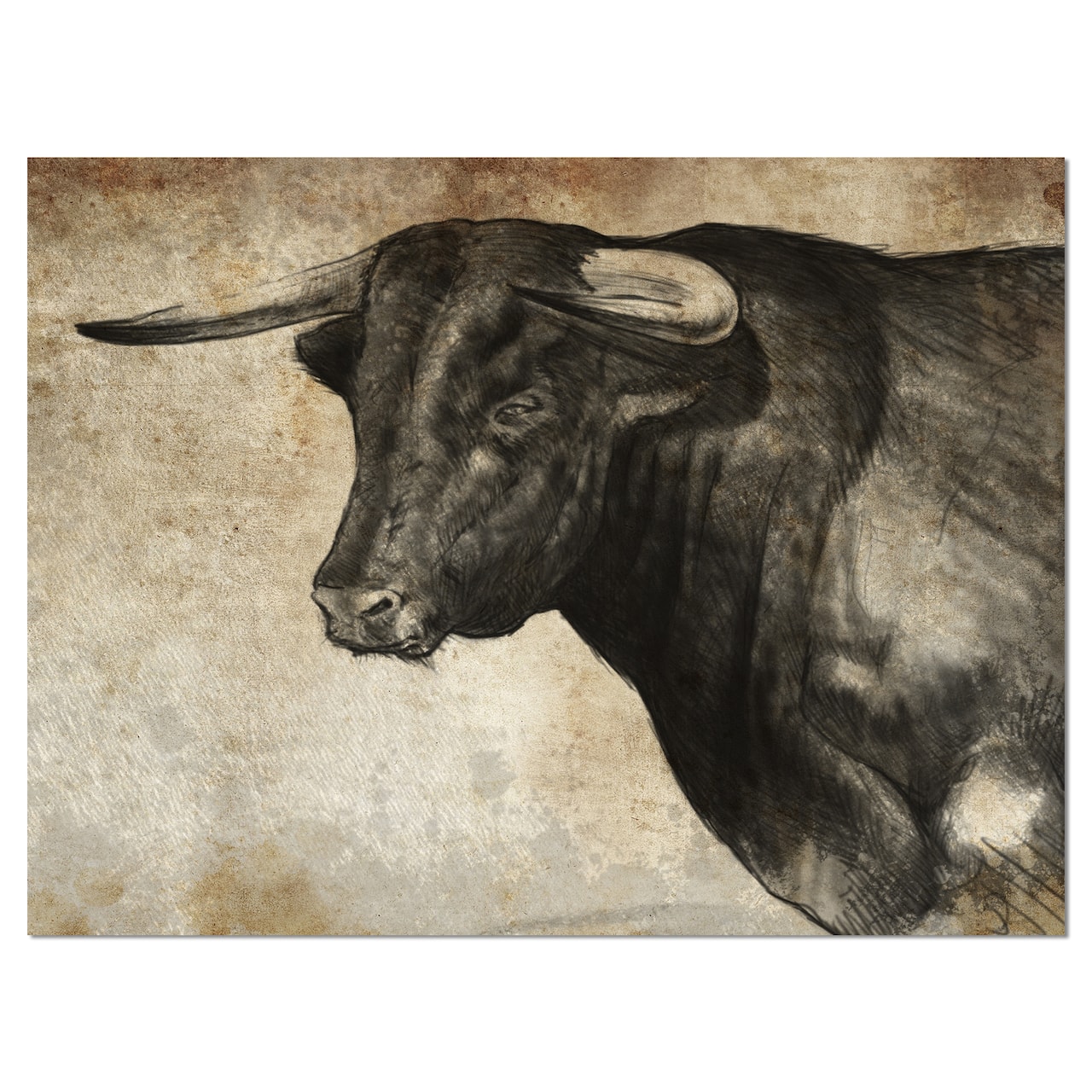 Designart - Spanish Bull Sketch - Animal Art On Canvas